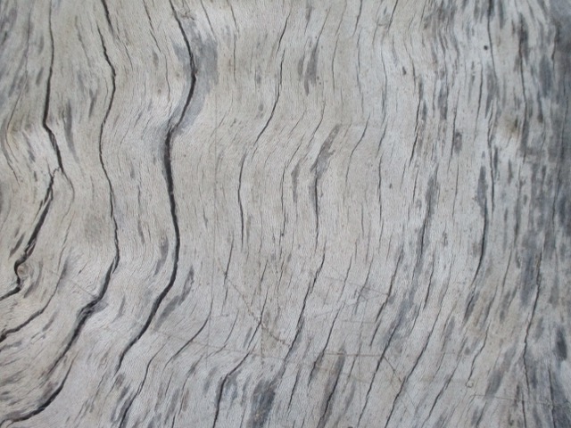 walking on campus at sunset